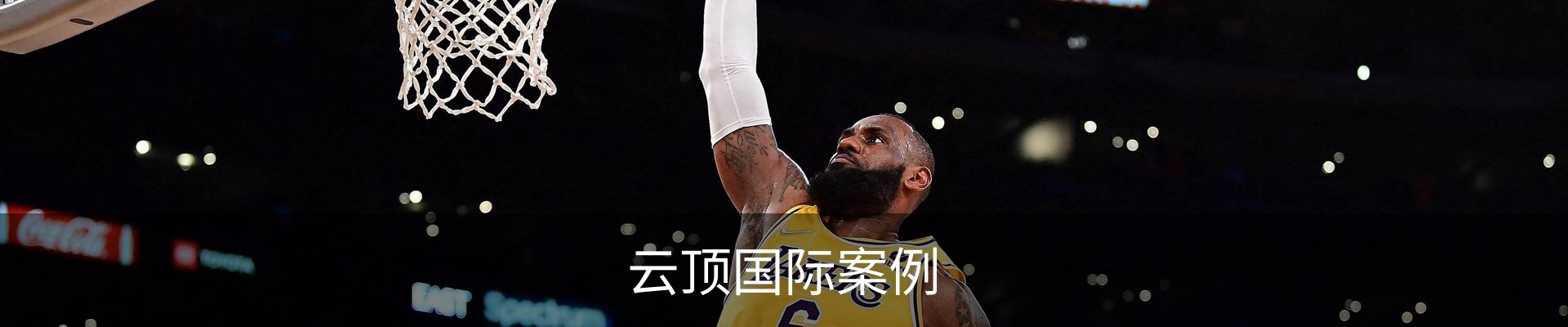 云顶国际案例