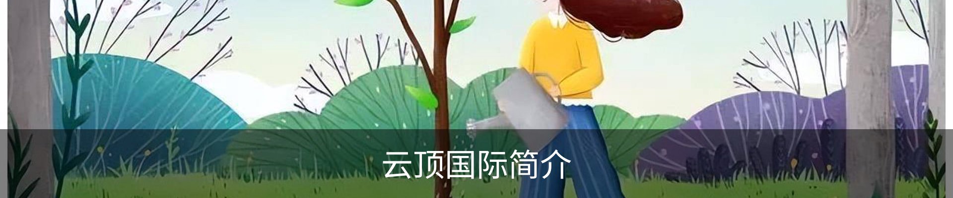 云顶国际简介
